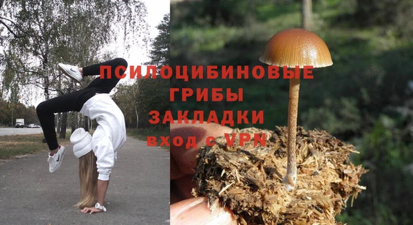 амф Горнозаводск