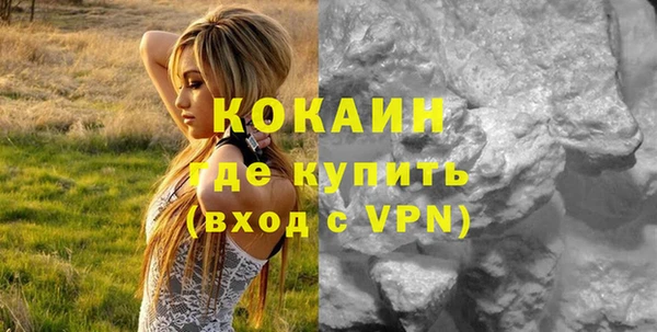 PSILOCYBIN Козловка
