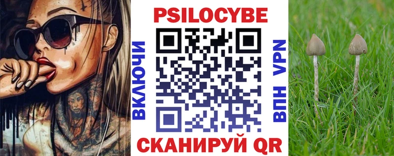 OMG рабочий сайт  Чебаркуль  Галлюциногенные грибы Psilocybe 
