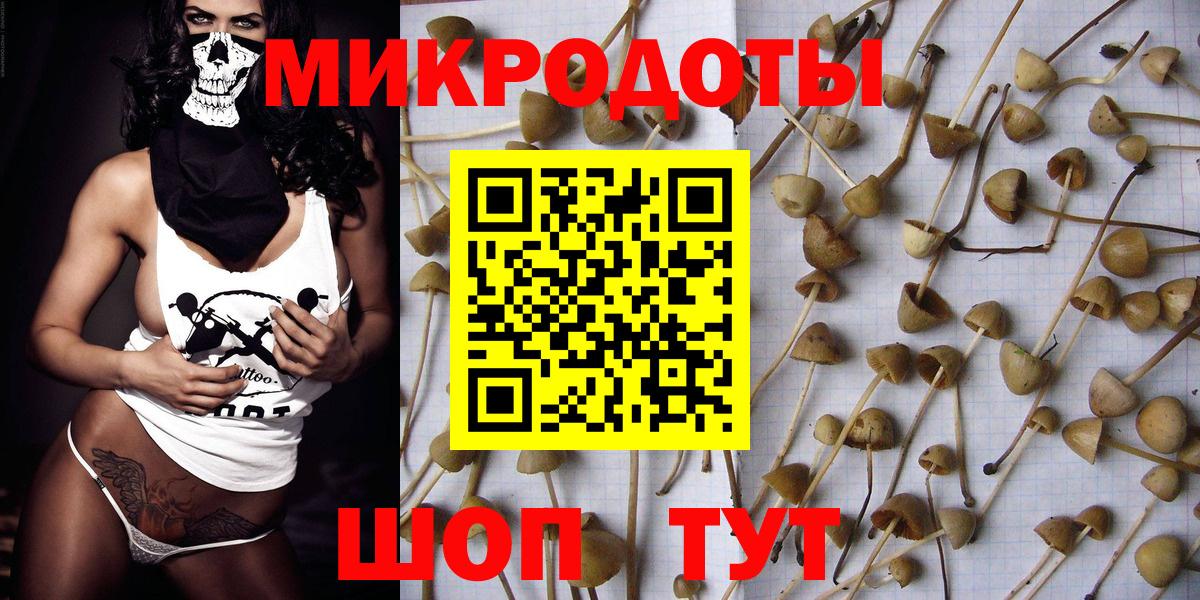 Псилоцибиновые грибы Cubensis  хочу   Чебаркуль  Вход с VPN 